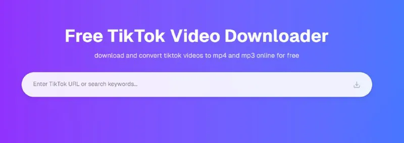 SSSTIKCDN：免费TikTok视频下载器 MP4/MP3格式转换