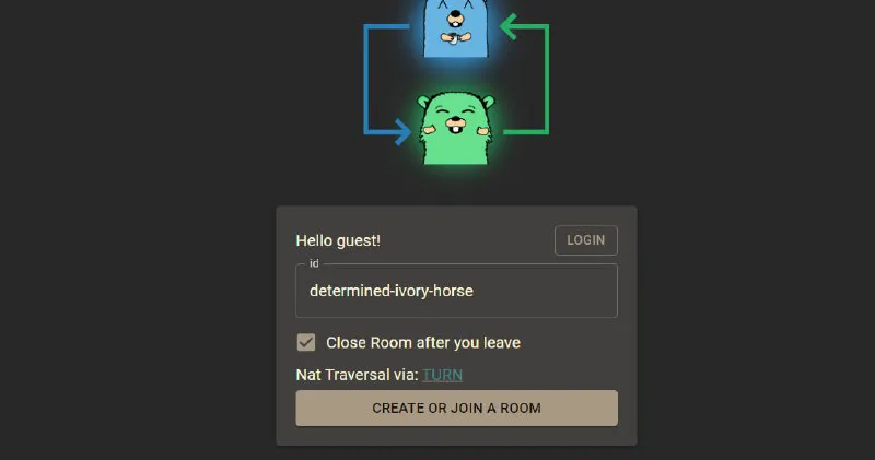ScreeGo - 开源免费在线多人屏幕共享 | 无需登录